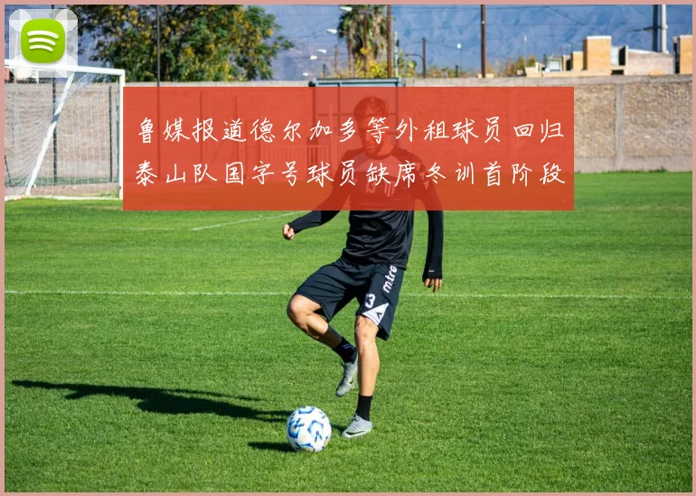 鲁媒报道德尔加多等外租球员回归泰山队国字号球员缺席冬训首阶段