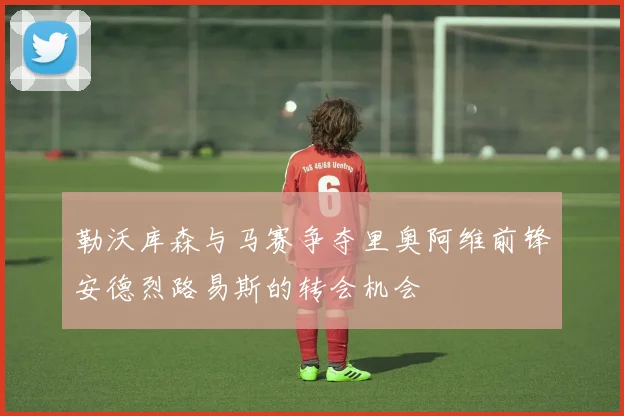 勒沃库森与马赛争夺里奥阿维前锋安德烈路易斯的转会机会