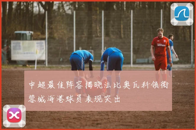 中超最佳阵容揭晓法比奥瓦科领衔蓉城海港球员表现突出