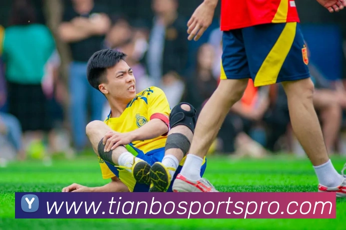 天博体育APP 高清赛事图