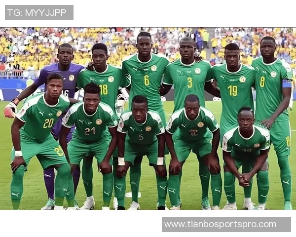 非洲杯球员身价排行榜揭晓阿什拉夫领衔姆伯莫与奥斯梅恩紧随其后